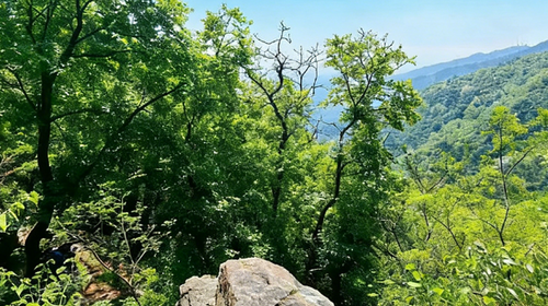 【北京一周一山·香八拉经典徒步】解锁京郊经典拉练线+春日快乐旅程~