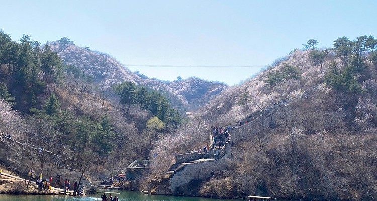 【北京一周一山·黄花城水长城】北京踏青好去处：春季限定的水长城，山花烂漫，融青山、碧水、长城于一体，颇有一番塞外景、江南风的韵味~