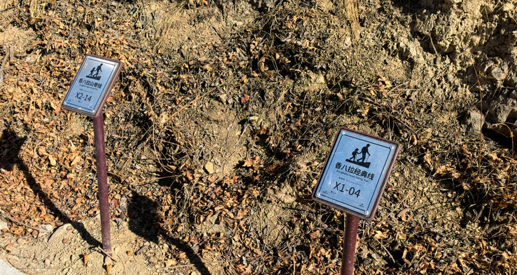 【北京一周一山·香八拉经典徒步】解锁京郊经典拉练线+春日快乐旅程~