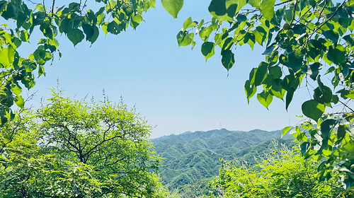 【北京一周一山·莲花滩 】童话森林里的漫步+奔向山谷秘境深处一线天+感受山野乐趣~
