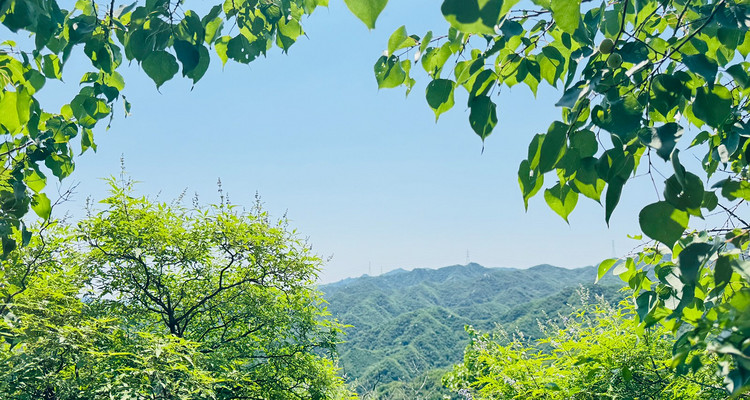 【北京一周一山·莲花滩 】童话森林里的漫步+奔向山谷秘境深处一线天+感受山野乐趣~