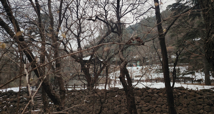 【北京一周一山·曹雪芹小道】走进《红楼梦》诞生地丨探访曹雪芹西山故里与小道+品味红楼文化+感受文学传奇~