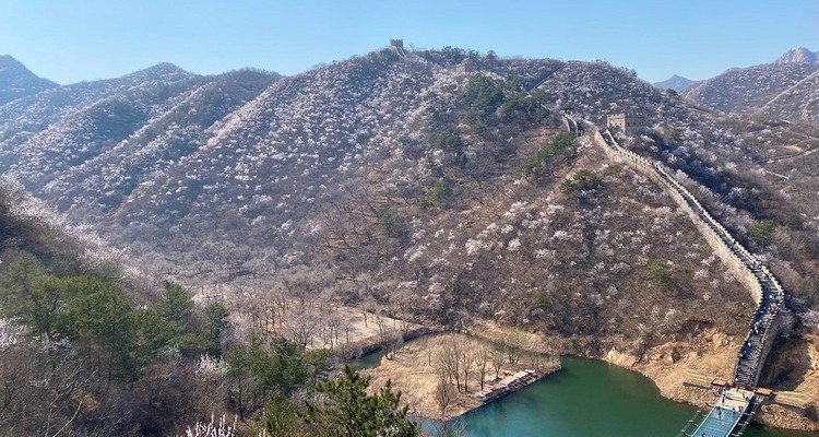 【北京一周一山·黄花城水长城】北京踏青好去处：春季限定的水长城，山花烂漫，融青山、碧水、长城于一体，颇有一番塞外景、江南风的韵味~