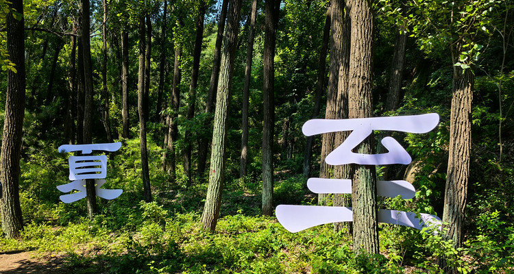 【北京一周一山·莲花滩 】童话森林里的漫步+奔向山谷秘境深处一线天+感受山野乐趣~