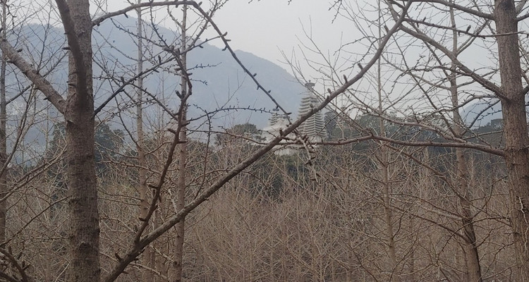 【北京一周一山·曹雪芹小道】走进《红楼梦》诞生地丨探访曹雪芹西山故里与小道+品味红楼文化+感受文学传奇~