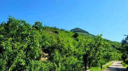 【北京一周一山·娘娘顶】京郊春日徒步之旅：探寻娘娘顶传说与翠屏湖美景+探索山野的无限魅力