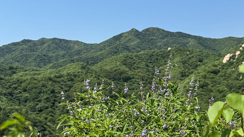 【北京一周一山·莲花滩 】童话森林里的漫步+奔向山谷秘境深处一线天+感受山野乐趣~