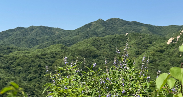 【北京一周一山·莲花滩 】童话森林里的漫步+奔向山谷秘境深处一线天+感受山野乐趣~