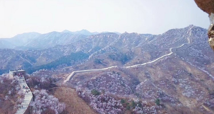 【北京一周一山·黄花城水长城】北京踏青好去处：春季限定的水长城，山花烂漫，融青山、碧水、长城于一体，颇有一番塞外景、江南风的韵味~