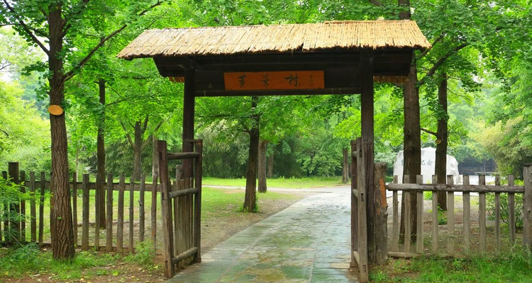 【北京一周一山·曹雪芹小道】走进《红楼梦》诞生地丨探访曹雪芹西山故里与小道+品味红楼文化+感受文学传奇~