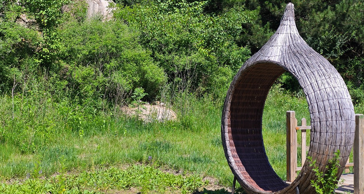 【北京一周一山·莲花滩 】童话森林里的漫步+奔向山谷秘境深处一线天+感受山野乐趣~