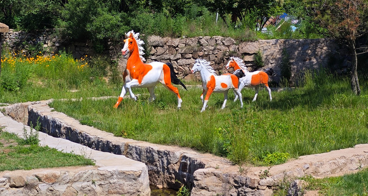 【北京一周一山·莲花滩 】童话森林里的漫步+奔向山谷秘境深处一线天+感受山野乐趣~