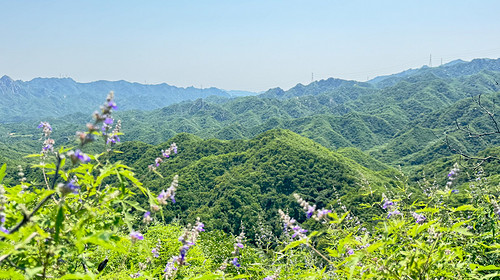 【北京一周一山·莲花滩 】童话森林里的漫步+奔向山谷秘境深处一线天+感受山野乐趣~