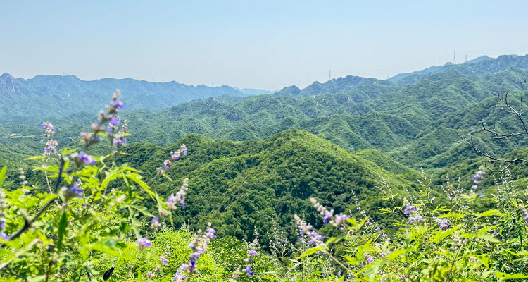 【北京一周一山·莲花滩 】童话森林里的漫步+奔向山谷秘境深处一线天+感受山野乐趣~