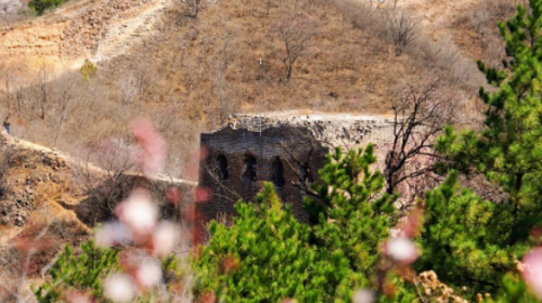 【北京一周一山·蟠龙山长城】春日静谧之旅丨原生态长城徒步+赏长城残缺之美