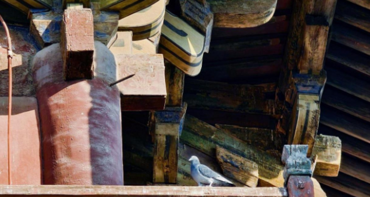 【北京一周一山·独乐寺】打卡黑神话·悟空取景地+独乐寺与西井峪的文化与自然探索之旅