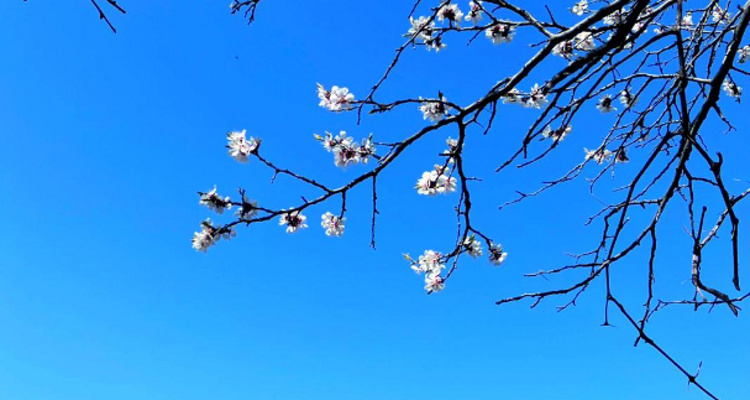 【北京一周一山·天泉寺-栖隐寺】女神节特惠38元丨探寻京西紫禁城神隐地+栖隐寺桃花盛开，徒步赏花正当时！