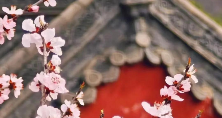 【北京一周一山·天泉寺-栖隐寺】女神节特惠38元丨探寻京西紫禁城神隐地+栖隐寺桃花盛开，徒步赏花正当时！