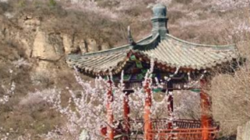 【北京一周一山·天泉寺-栖隐寺】双寺连穿丨探寻京西紫禁城神隐地+栖隐寺桃花盛开，徒步赏花正当时！