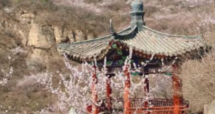【北京一周一山·天泉寺-栖隐寺】女神节特惠38元丨探寻京西紫禁城神隐地+栖隐寺桃花盛开，徒步赏花正当时！