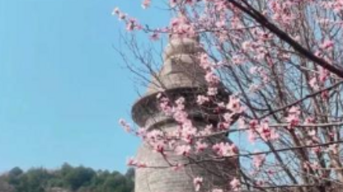 【北京一周一山·天泉寺-栖隐寺】双寺连穿丨探寻京西紫禁城神隐地+栖隐寺桃花盛开，徒步赏花正当时！