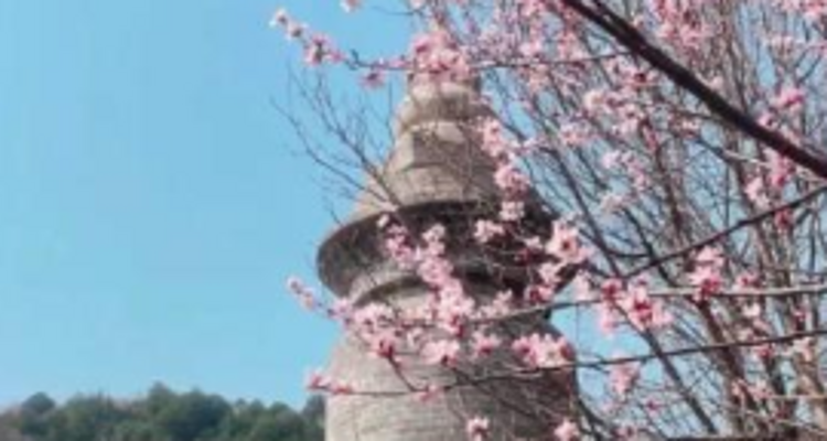 【北京一周一山·天泉寺-栖隐寺】女神节特惠38元丨探寻京西紫禁城神隐地+栖隐寺桃花盛开，徒步赏花正当时！
