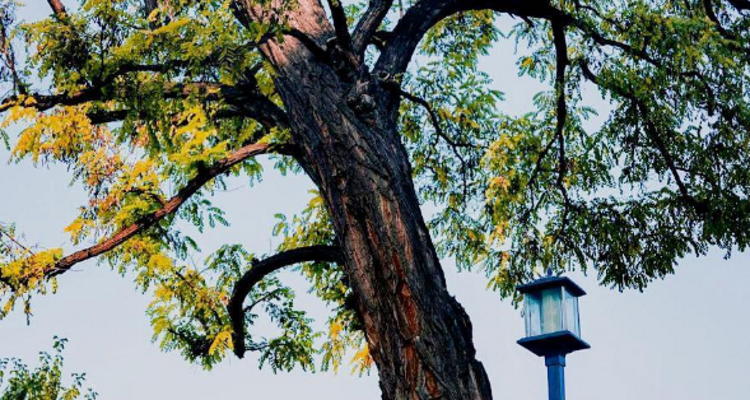 【北京一周一山·独乐寺】打卡黑神话·悟空取景地+独乐寺与西井峪的文化与自然探索之旅