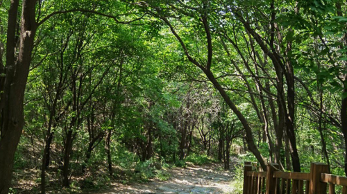 【北京一周一山·玉河古道】徒步探索千年古道+观“马蹄窝”奇观+体验古韵与自然之美