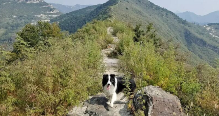 【北京一周一山·三角城】早鸟优惠来袭丨打卡房山三角城至鱼骨寺的神秘之旅：传奇历史与壮丽自然景观