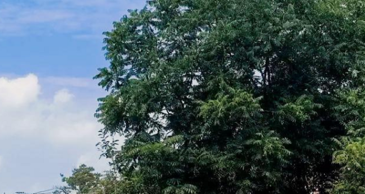 【北京一周一山·独乐寺】打卡黑神话·悟空取景地+独乐寺与西井峪的文化与自然探索之旅