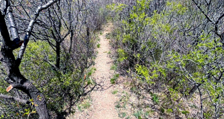 【北京一周一山·天泉寺-栖隐寺】女神节特惠38元丨探寻京西紫禁城神隐地+栖隐寺桃花盛开，徒步赏花正当时！