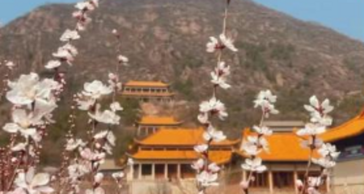 【北京一周一山·天泉寺-栖隐寺】女神节特惠38元丨探寻京西紫禁城神隐地+栖隐寺桃花盛开，徒步赏花正当时！