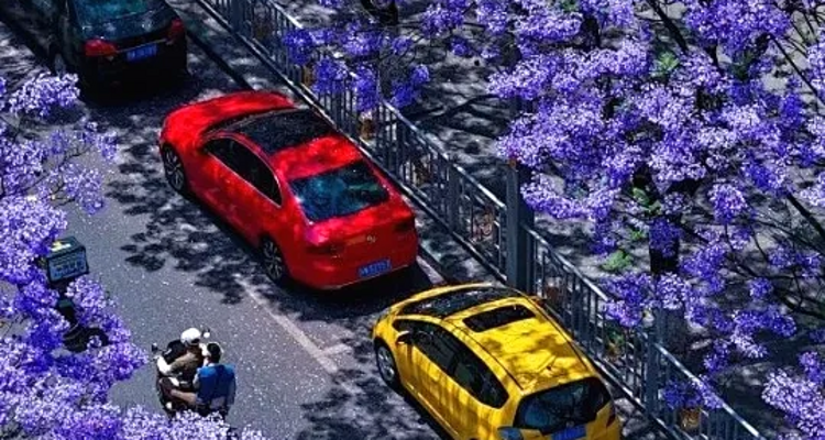 【又见云南·蓝花楹漫游6日】昆明蓝花楹+西昌蓝花楹+七里坝高山杜鹃+螺髻山九十九里温泉+建昌古城+元谋土林+攀枝花+东川红土地2-12人小团