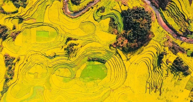 【行摄滇南】东川红土地｜元阳梯田｜罗平油菜花｜九龙瀑布｜弥勒东风韵｜建水古城｜抚仙湖7天6晚