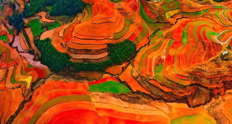 【行摄滇南】东川红土地｜元阳梯田｜罗平油菜花｜九龙瀑布｜弥勒东风韵｜建水古城｜抚仙湖7天6晚