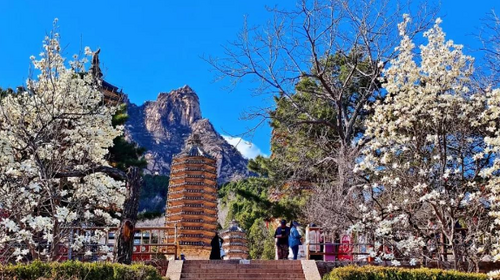 【北京一周一山·银山塔林】花海徒步之旅丨解锁燕京八景的银山塔林与桃花仙境~