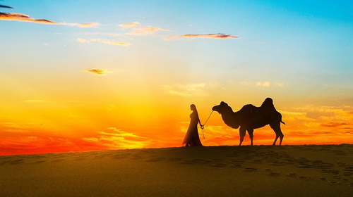 【初见内蒙·畅游沙漠3日】库布齐07沙漠公路+越野车深度穿越+畅玩响沙湾+光伏森林+特色骆驼宴+美岱召+内蒙古博物院+38人舒适团