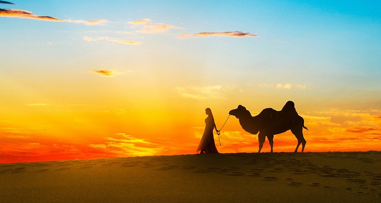 【初见内蒙·畅游沙漠3日】库布齐07沙漠公路+越野车深度穿越+畅玩响沙湾+光伏森林+特色骆驼宴+美岱召+内蒙古博物院+38人舒适团