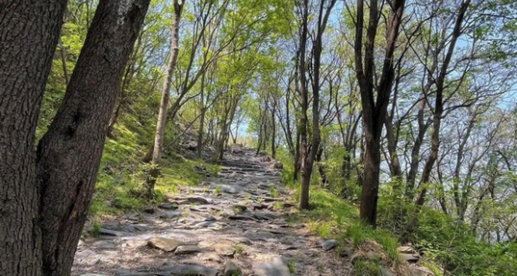 【北京100公里山野·京西古道】千年驼铃响 春日徒步时丨上春山赏春花 | 徒步京西古道