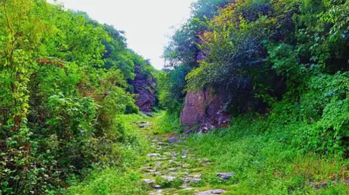 【北京100公里山野·京西古道】千年驼铃响 春日徒步时丨上春山赏春花 | 徒步京西古道