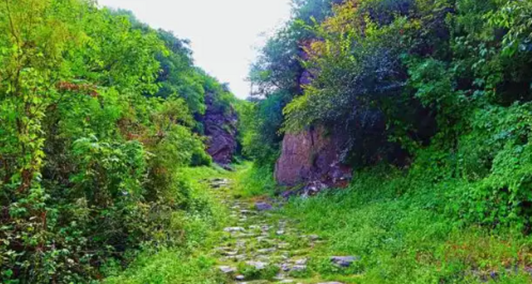 【北京100公里山野·京西古道】千年驼铃响 春日徒步时丨上春山赏春花 | 徒步京西古道