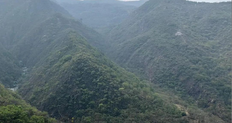 【北京100公里山野·京西古道】千年驼铃响 春日徒步时丨上春山赏春花 | 徒步京西古道