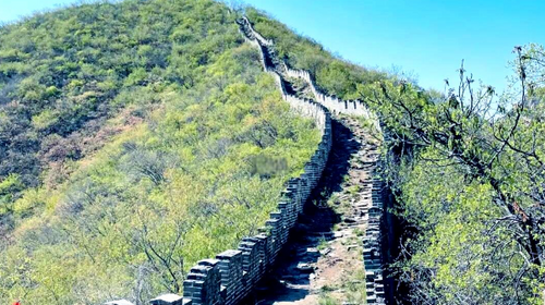 【北京一周一山·香屯】千亩板栗园与明代长城环抱下的徒步秘境：溪流潺潺，长城蜿蜒，感受山谷间的纯净之美