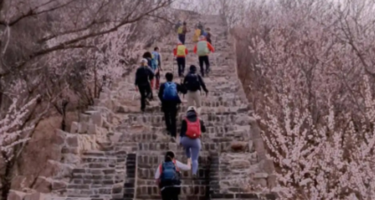【北京一周一山·香屯】穿越最美香屯村，探索大云峡谷的春季秘境：爬野长城，赏世外桃花！