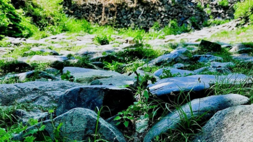 【北京100公里山野·京西古道】千年驼铃响 春日徒步时丨上春山赏春花 | 徒步京西古道