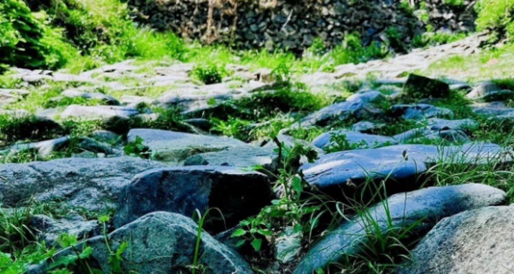 【北京100公里山野·京西古道】千年驼铃响 春日徒步时丨上春山赏春花 | 徒步京西古道