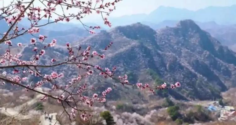 【北京一周一山·香屯】穿越最美香屯村，探索大云峡谷的春季秘境：爬野长城，赏世外桃花！