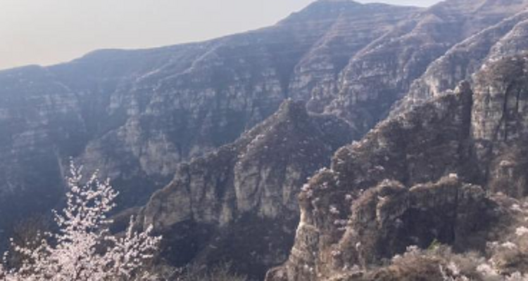 【北京一周一山·涞水桃花栈】春日桃花盛宴丨探秘涞水桃花栈，沉醉于春日花海~