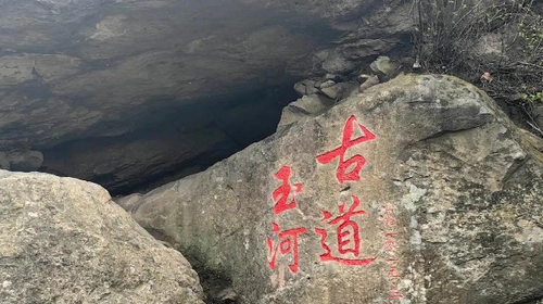 【北京100公里山野·京西古道】千年驼铃响 春日徒步时丨上春山赏春花 | 徒步京西古道