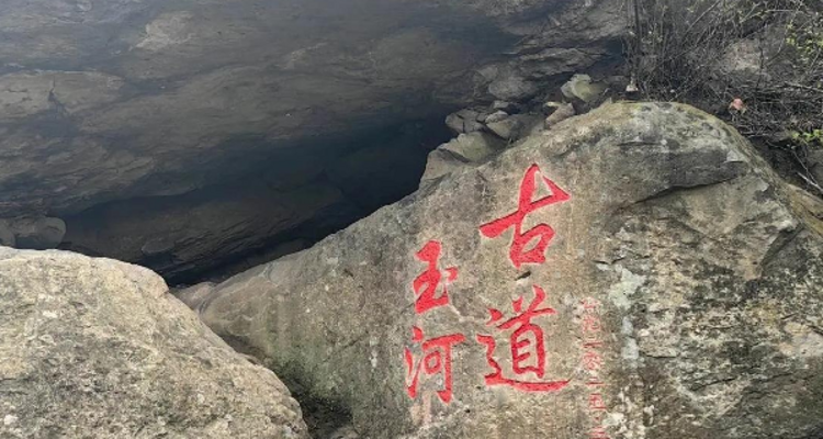 【北京100公里山野·京西古道】千年驼铃响 春日徒步时丨上春山赏春花 | 徒步京西古道